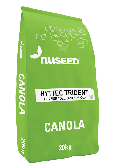NUSEED HyTTec TRIDENT CANOLA SEED PER KG WITH  CRUISER OPTI / SALTRO DUO TREATMENT
