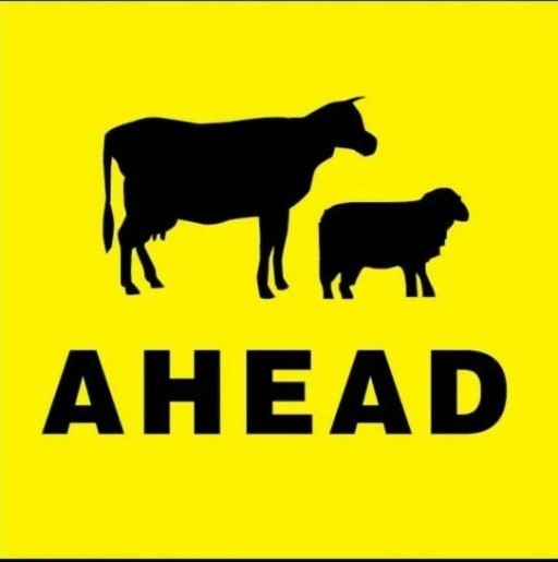 SIGN SHEEP CATTLE AHEAD - METAL