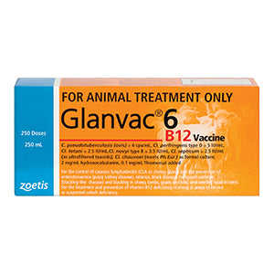 GLANVAC 6 IN 1 + B12 500ML