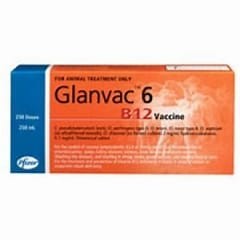 GLANVAC 6 IN 1 + B12 250 ML