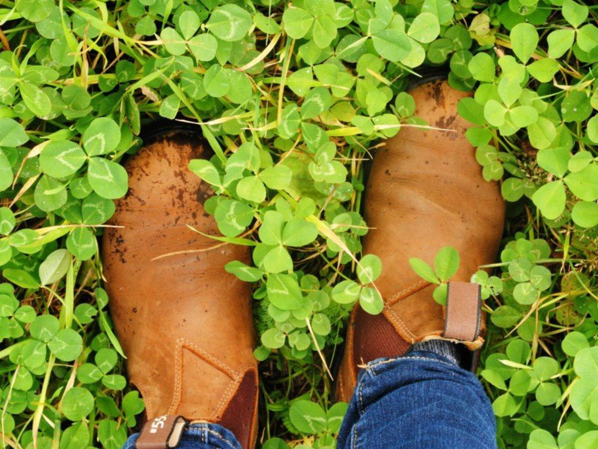 BOOTS – Rand Farm Supplies