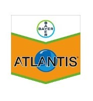 ATLANTIS ODESI 120 5LTR