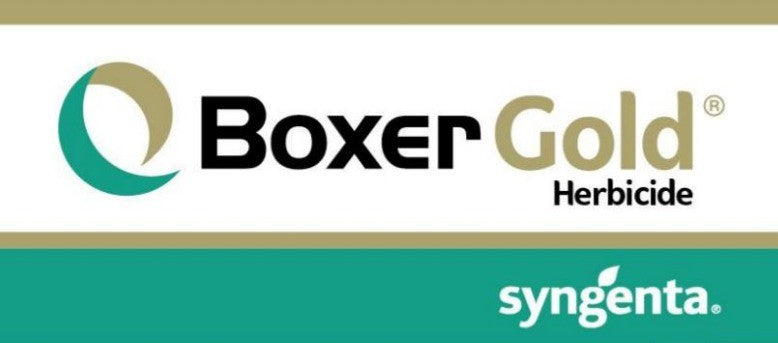 BOXER GOLD 100LT