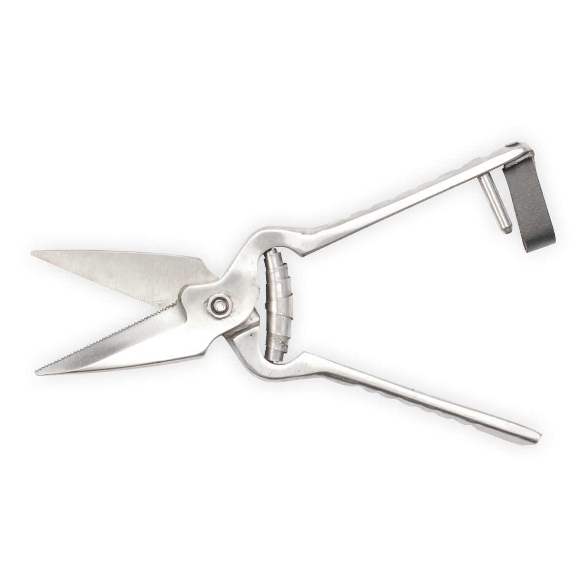 LEADER FOOTROT SHEARS