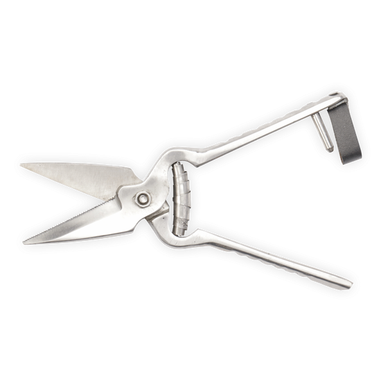 LEADER FOOTROT SHEARS