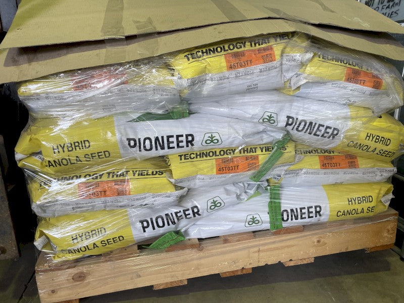 PIONEER 45T03 TT HYBRID CANOLA (PER/KG)