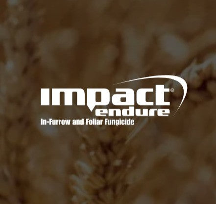 FMC IMPACT ENDURE 500 10Ltr