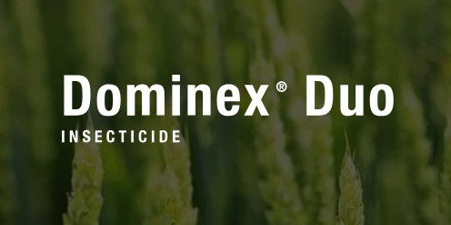 FMC DOMINEX DUO 100 EC 20LTR