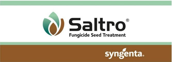 SALTRO DUO 1L