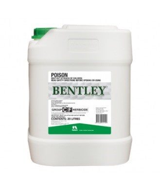 BENTLEY 20 LTR