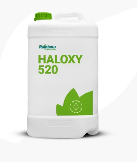 RAINBOW HALOXYFOP520EC 10 LTR