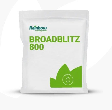 RAINBOW BROADBLITZ 800WG 500 GRAM