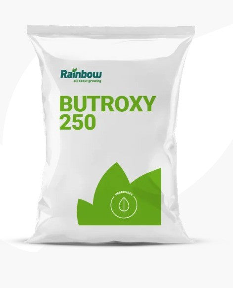 RAINBOW BUTROXY 250 5KG