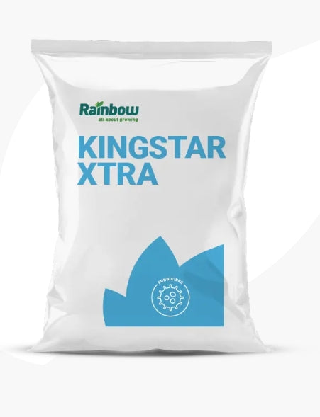 RAINBOW KINGSTAR EXTRA, 5KG