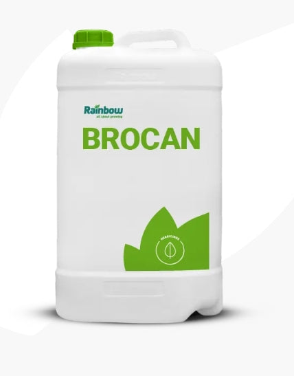 RAINBOW BROCAN, 20 LTR