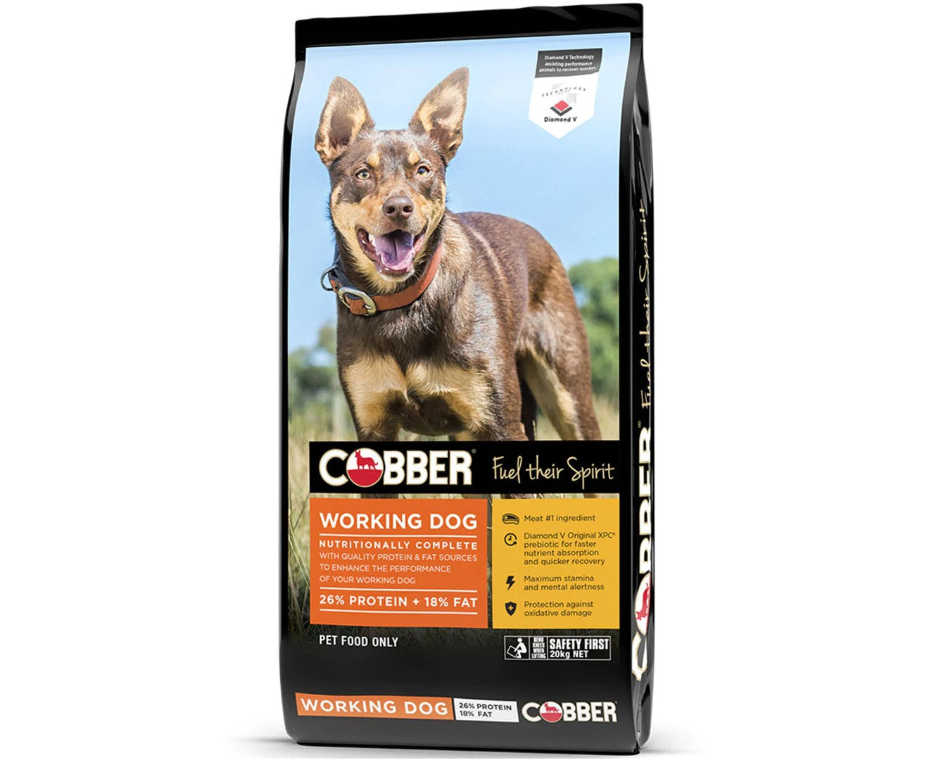 COBBER WORKING DOG 20KG