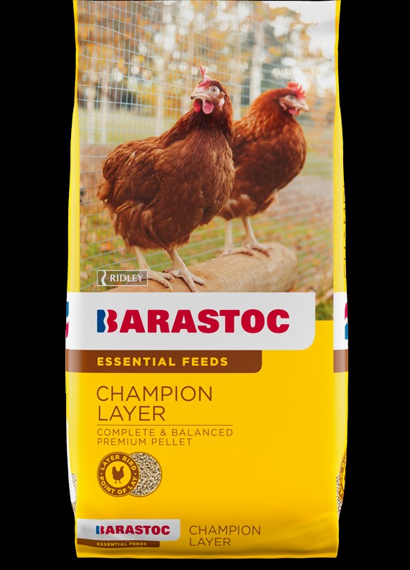 RIDLEY CHAMPION LAYER 20KG