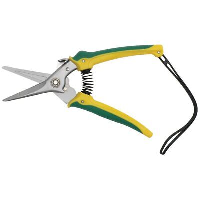 FOOTROT SHEARS AUSSIE
