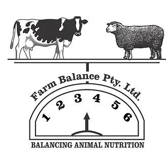 EWE & LAMB BLOCKS FARM BALANCE