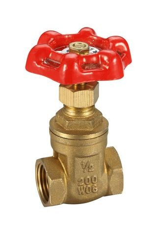 BRASS GATE VALVE 1/2