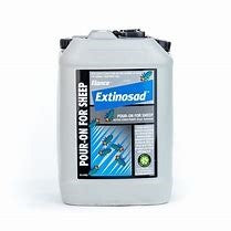 EXTINOSAD POUR ON 20LT