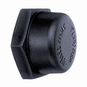 CAP 1 1/4" GUYCO