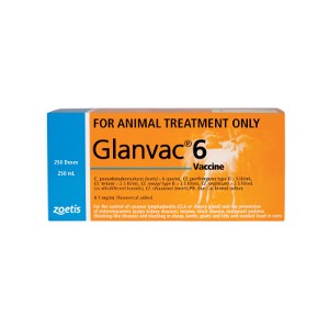 GLANVAC 6 IN 1 250 ML